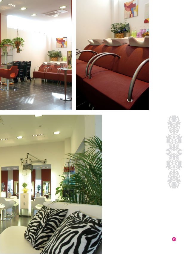Salon Trends 3 - pag. 047